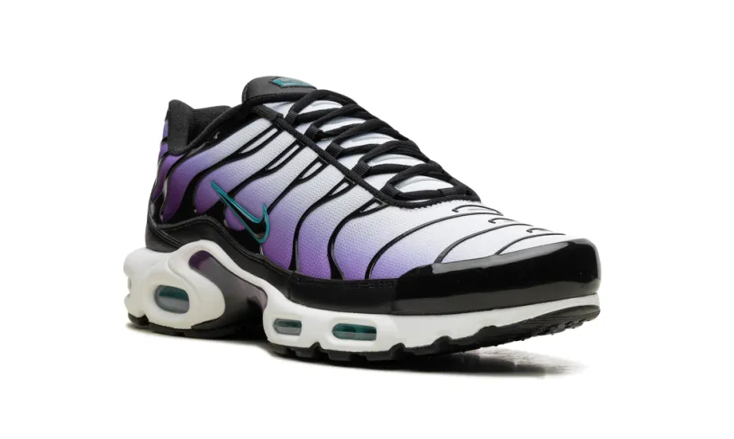 Nike Air Max Air Max Plus 'Reverse Grape'